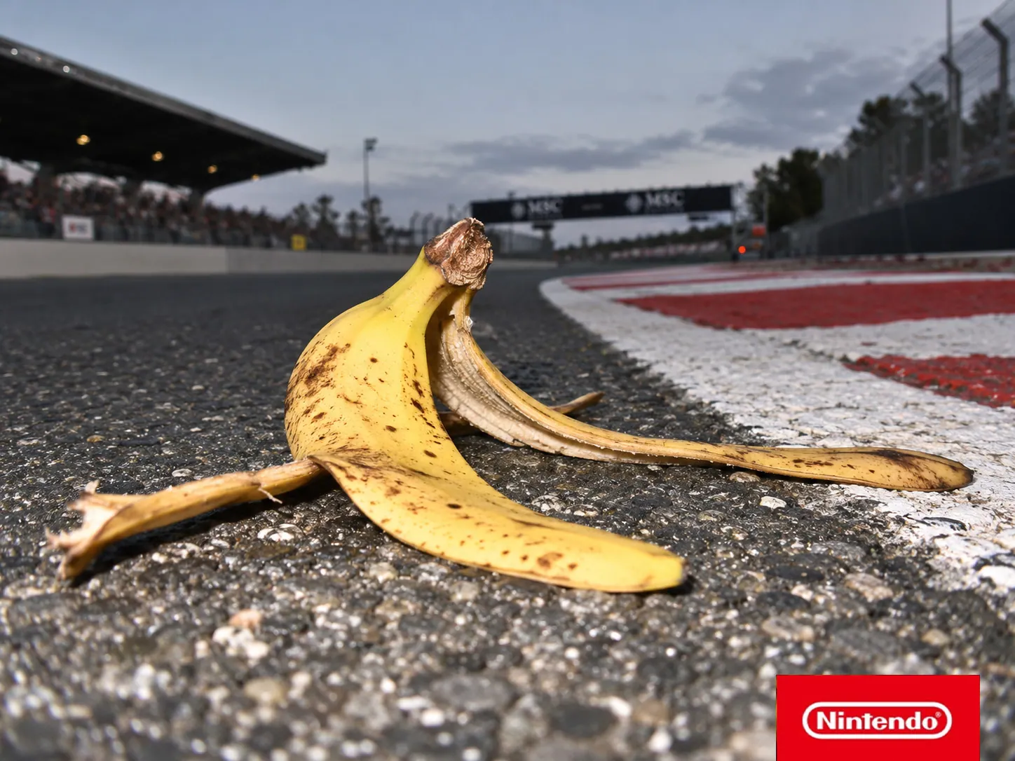 nintendo — NINTENDO